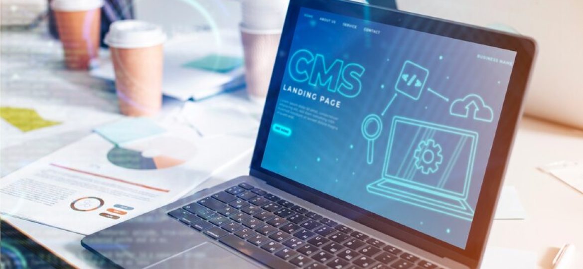 Quali sono i CMS più utlizzati per creare un sito web nel 2024